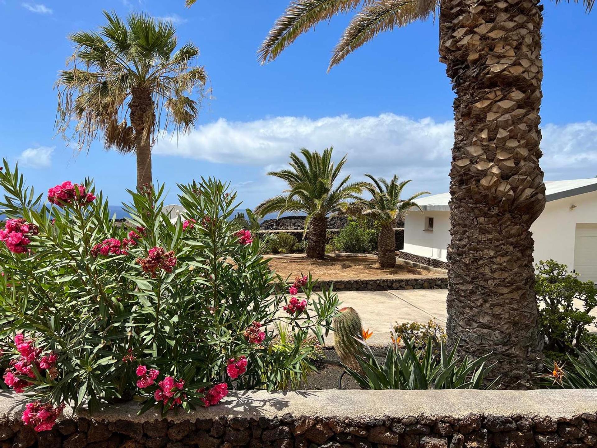 Finca Afortunada Las Puntas Δωμάτιο φωτογραφία